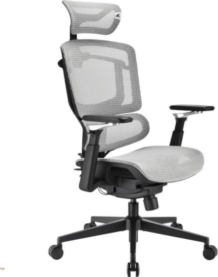 Sharkoon OfficePal C50M Irodai Görgős Forgószék - Szürke