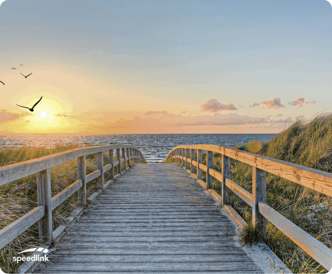 Speedlink SL-620000 SILK Egérpad 230 x 190mm - Tengerpart Mintás