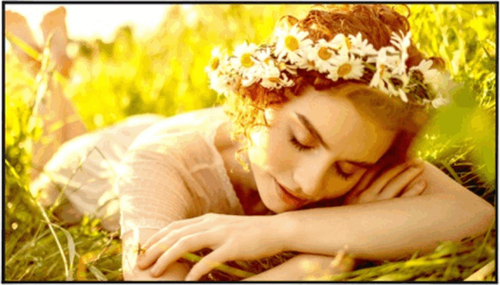 LG 75" 75UL5Q 16:9 Ultra HD 4K IPS Üzleti Kijelző LG 75" 75UL5Q 16:9 Ultra HD 4K IPS Üzleti Kijelző