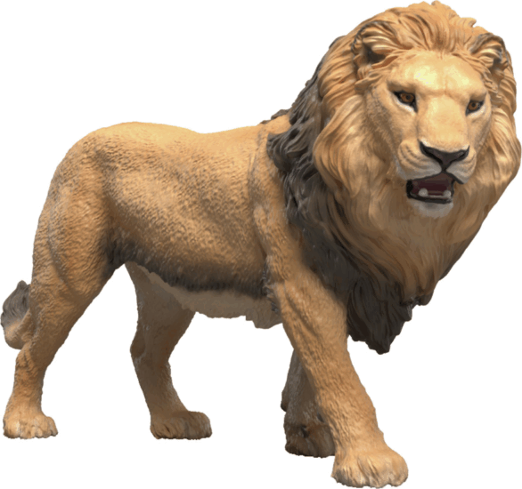 Schleich 14974 Wild Life - Afrikai Oroszlán Játékfigura