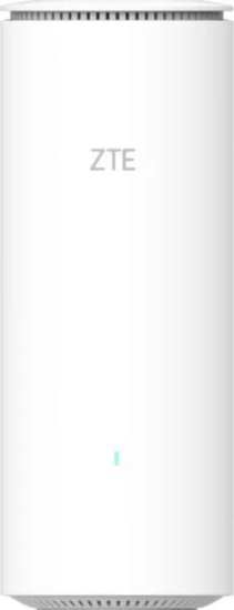ZTE Z1320 Dual Band 2402 MBit/s Wireless WiFi Router
