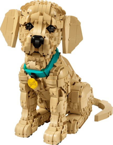 LEGO 11384 Icons - Golden Retriever kutyus