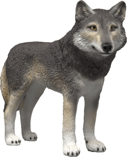 Schleich 14991 Wild Life Amerikai farkas játékfigura