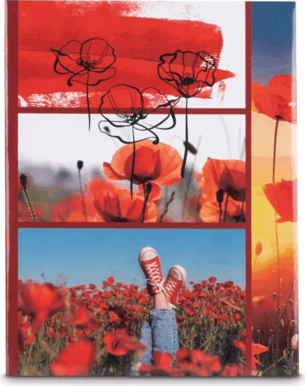 Hama 99007578 Red Poppy 10x15cm Fotóalbum 200 db - Mintás