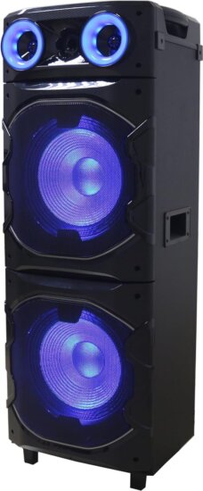 Reflexion PS25BT Bluetooth Karaoke Party Hangszóró Mikrofonnal 1200W - Fekete