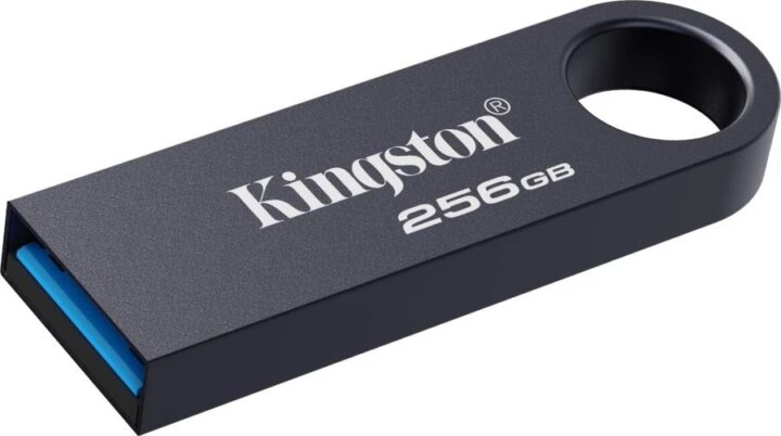 Kingston DataTraveler SE9 G3 USB-A 3.2 Gen 1 256GB Pendrive - Nikkel