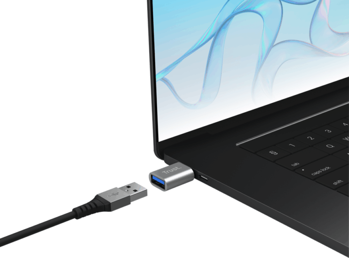 Trust 26221 Calyx USB-C apa - USB-A anya Adapter - Ezüst (2db / csomag)
