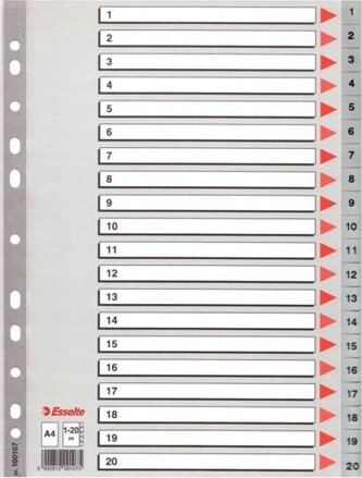 Esselte A4 Műanyag regiszter- Szürke