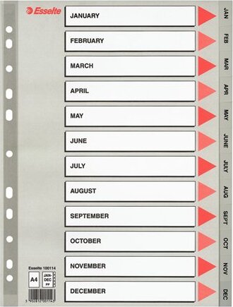 Esselte A4 Műanyag regiszter - Szürke