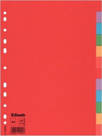 Esselte Economy A4 Karton elválasztólap