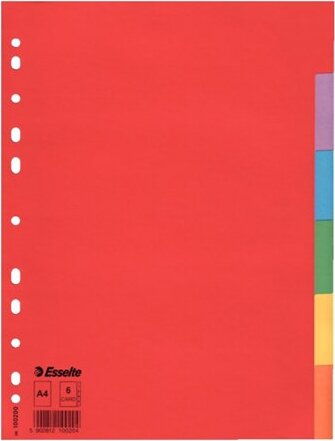 Esselte Economy A4 Karton elválasztólap