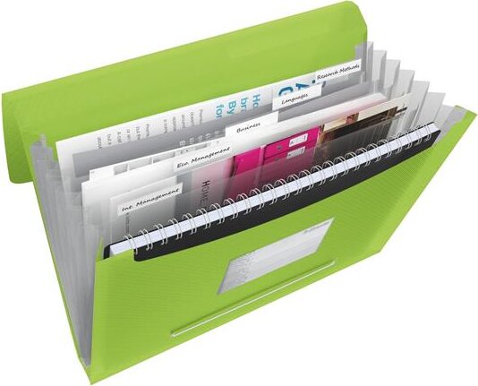 Esselte Vivida A4 6 rekeszes műanyag harmónika mappa - Zöld