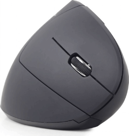 Gembird MUSW-ERGO-01 Wireless Egér - Fekete
