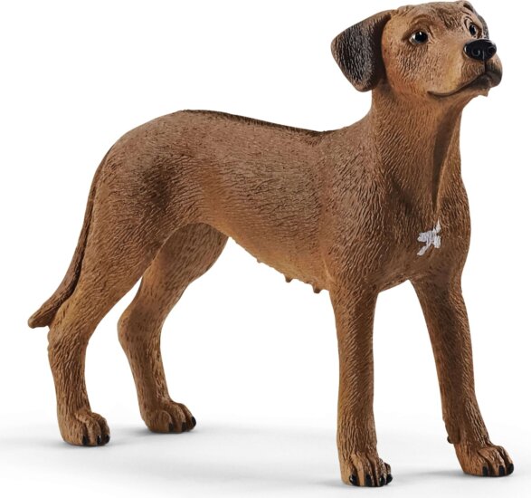 Schleich: Afrikai oroszlánkutya figura