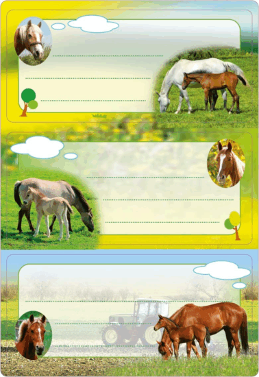 Herma: lovas füzet címke