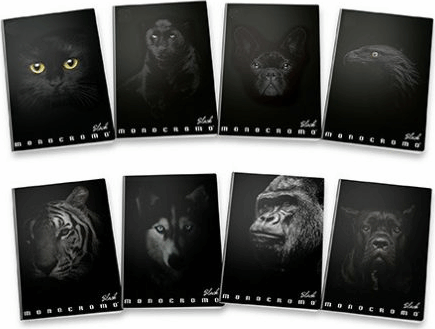 Pigna Monocromo A4 vonalas füzet - Fekete