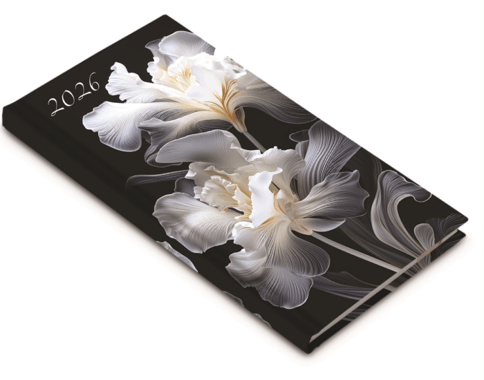 Realsystem Picture 165 x 90mm 2026 Zsebnaptár - Akvarell