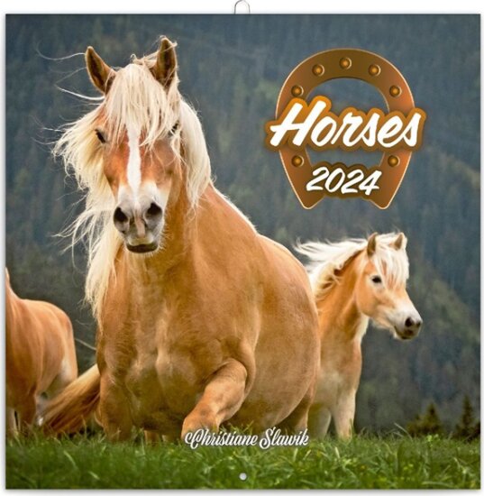 Realsystem 300 x 300mm 2024 Falinaptár - Horses