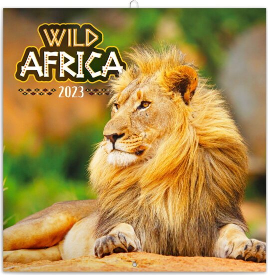 Realsystem 300 x 300mm 2023 Falinaptár - Wild Africa