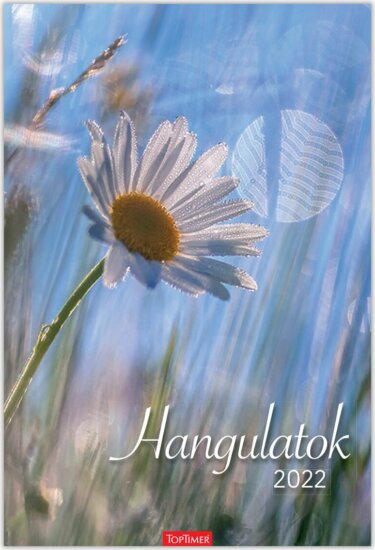 Toptimer 220 x 330mm 2022 Falinaptár - Hangulatok