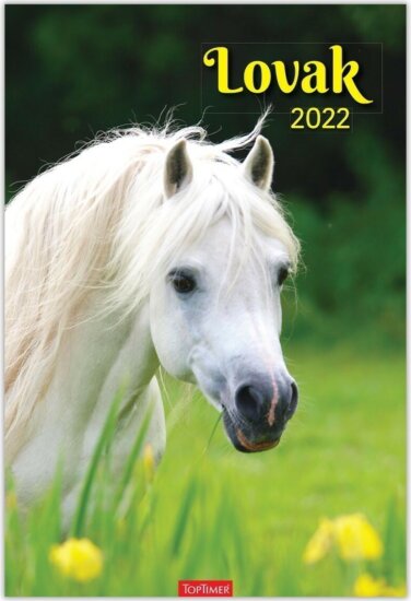 Toptimer 220 x 330mm 2022 Falinaptár - Lovak