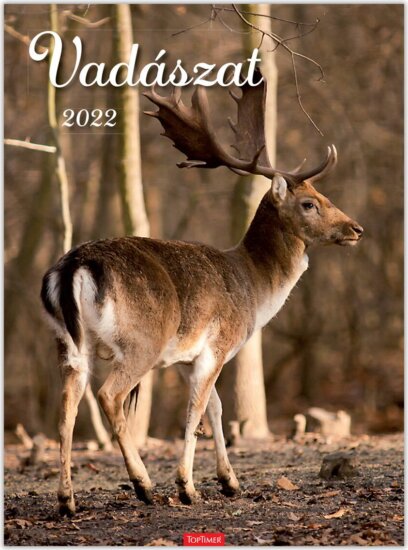 Toptimer 420 x 310mm 2022 Falinaptár - Vadászat