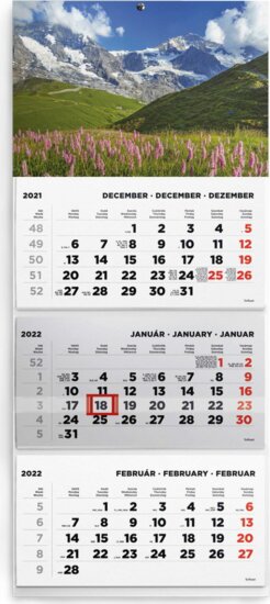 Toptimer 315 x 746mm 2022 Speditőrnaptár - Hegy Toptimer 315 x 746mm 2022 Speditőrnaptár - Hegy