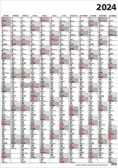 Toptimer Terminus B1 2024 Plakátnaptár - Mintás többfajta