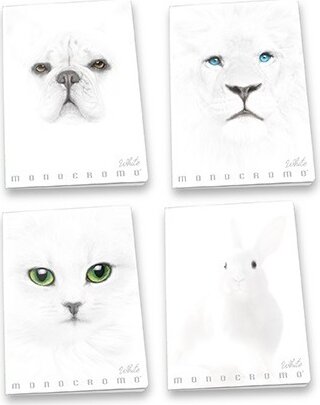 Pigna Monocromo White 38 lapos A4 vonalas füzet többfajta