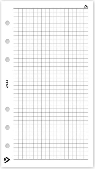 Realsystem 95 x 170mm Négyzethálós jegyzetlap