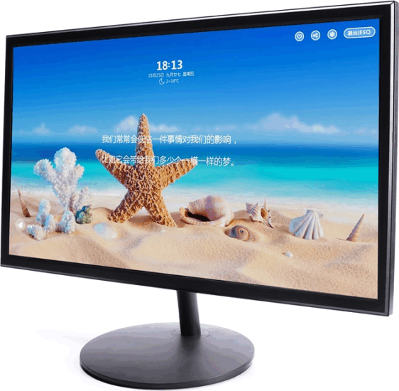Dimarson 18.5" DM-P185 Monitor