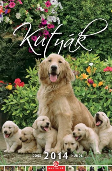 CSG 210 x 320mm 2023 Falinaptár - Kutyák