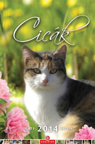CSG 210 x 320mm 2023 Falinaptár - Cicás CSG 210 x 320mm 2023 Falinaptár - Cicás