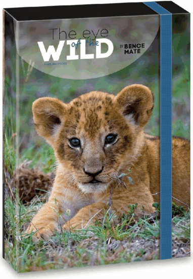 Ars Una The Eyes Of The Wild Lion A4 füzetbox - Mintás