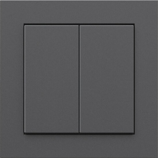 Senic Friends of Hue Smart vezeték nélküli kettős Okos fali villanykapcsoló - Matt antracit