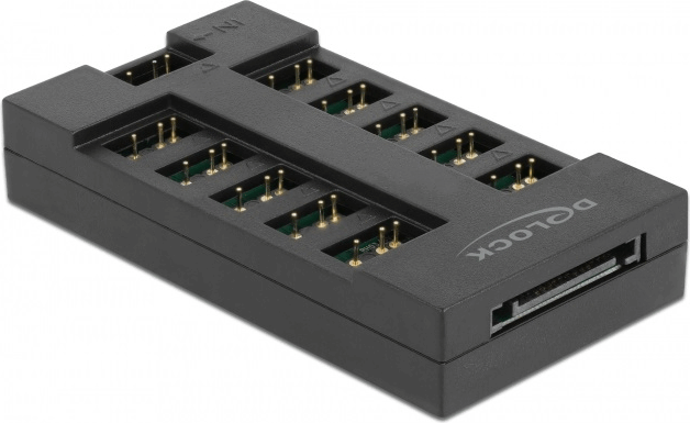 Delock 64128 ARGB LED Hub (10 port)