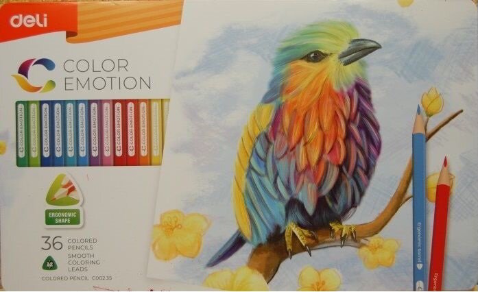 Deli Color Run színes ceruza készlet (36 db / csomag)