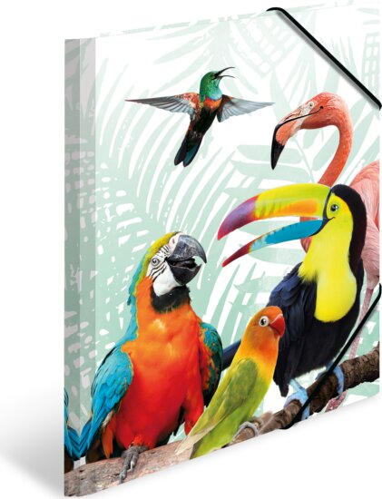 Herma A4 gumis mappa - Trópusi madár mintás