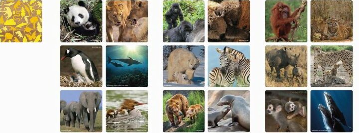 Ambassador: Állatcsaládok memóriajáték