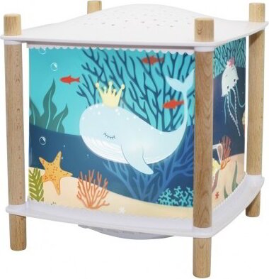 Trousselier Óceán éjszakai fény zenével