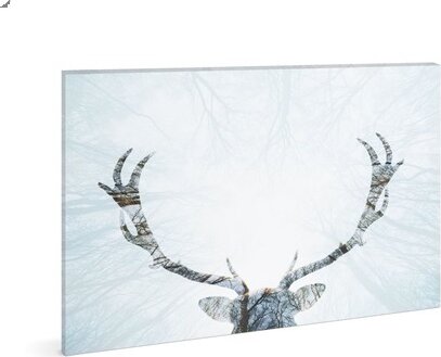 Family Decor 58481A karácsonyi LED Fali kép rénszarvas Dekoráció - 40x30 cm