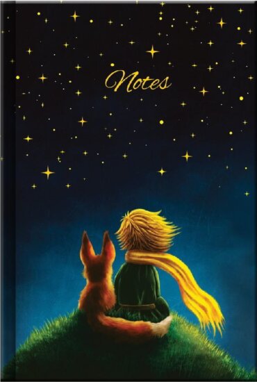 Kalendart Little Prince S165 vonalas notesz - Mintás