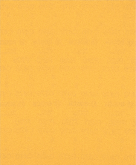 Bosch 2608900964 Expert C470 K220 Csiszolólap - 230x280mm