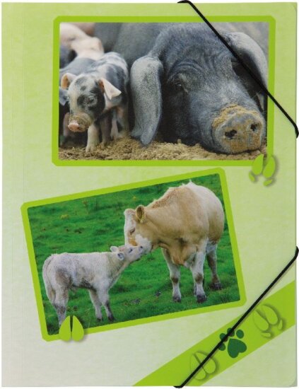 Pagna A4 PP gumis mappa - Farmon élő állatok