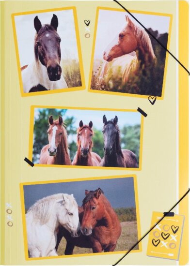 Pagna A4 PP gumis mappa - Lovak Pagna A4 PP gumis mappa - Lovak