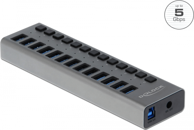 Delock 63738 USB Type-A 3.0 HUB (13 port) Delock 63738 USB Type-A 3.0 HUB (13 port)