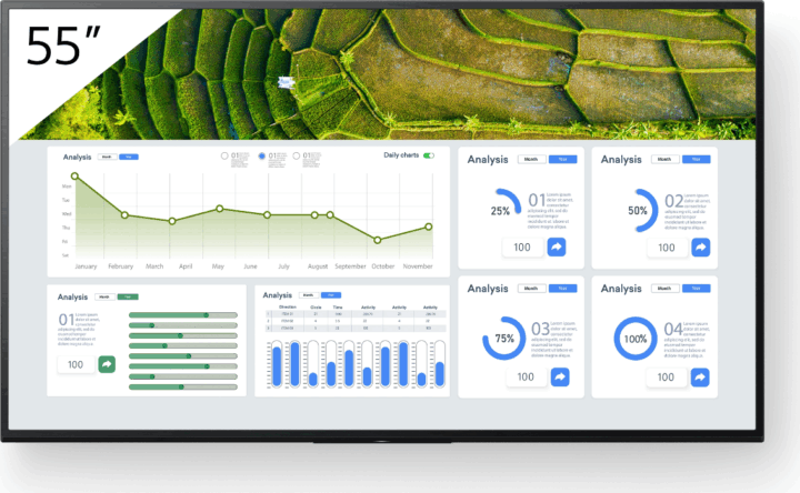 Sony FW-55BZ30L 55" 4K Smart TV