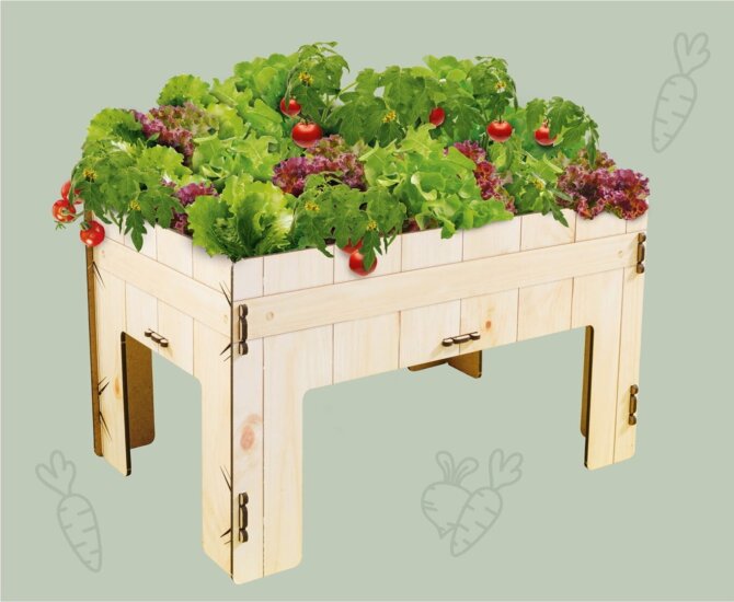 Kosmos Első farmom Növény kísérleti készlet