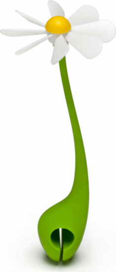 Ototo Fedőtartó virág