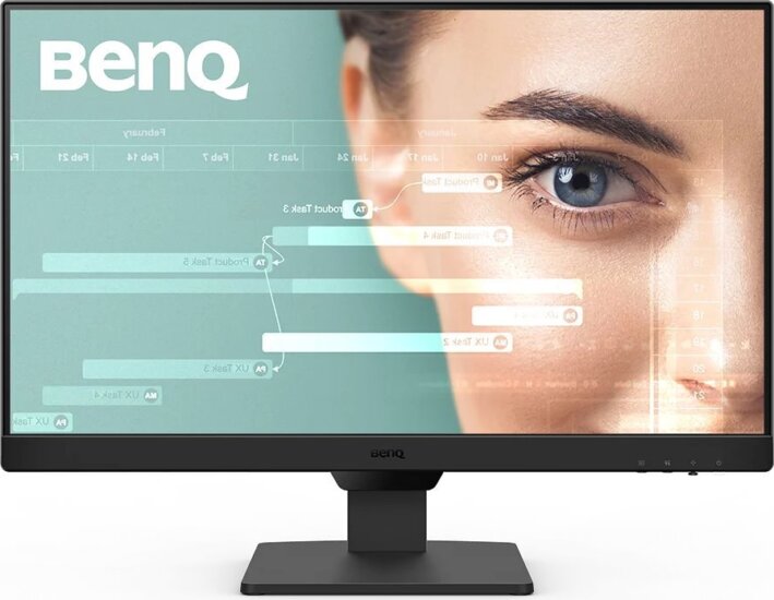 BenQ 23,8" BL2490 Monitor